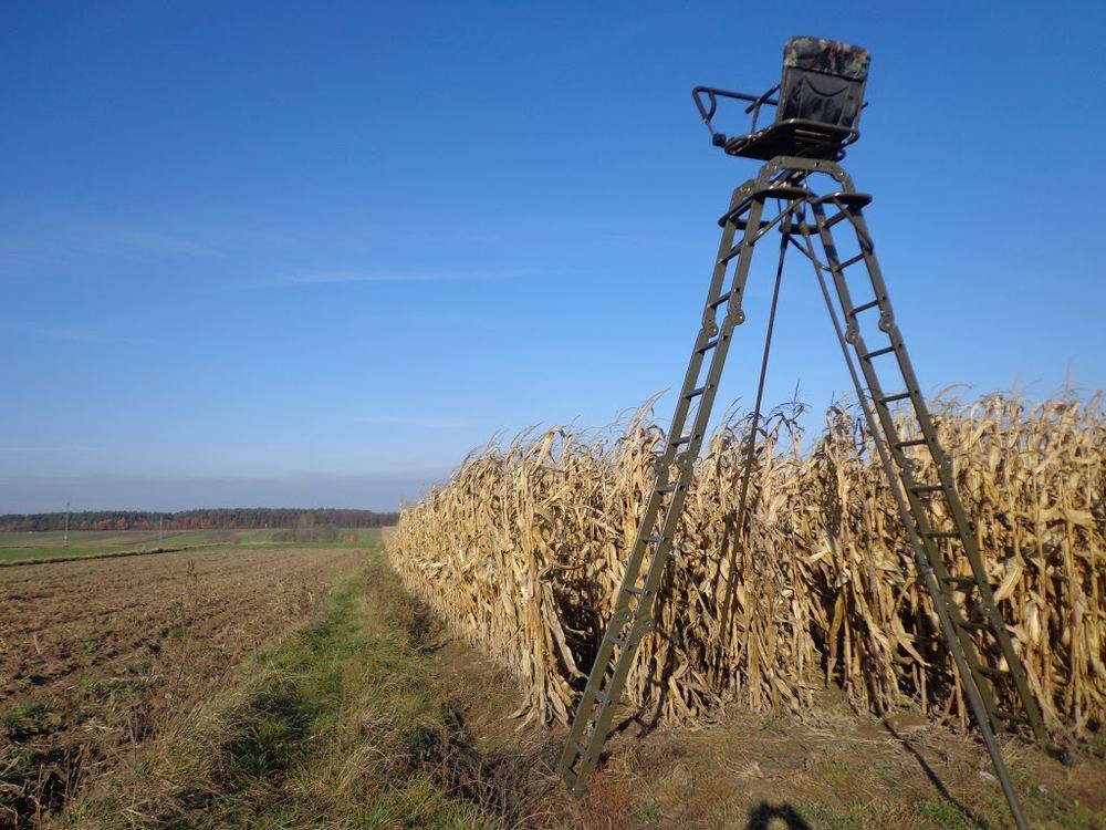 Ambona obrotowa wolnostojąca na skraju pola kukurydzy